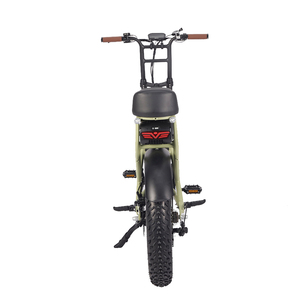 Vélo électrique à batterie au lithium OEM ODM 20Ah 36V 48V 500W 750W 1000W vélo électrique - Product Image 5