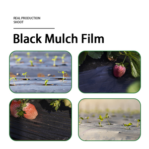 Nông nghiệp nhựa mulching phim, nhà máy Giá nhựa vườn, mulch phim bạc đen với vườn - Product Image 2