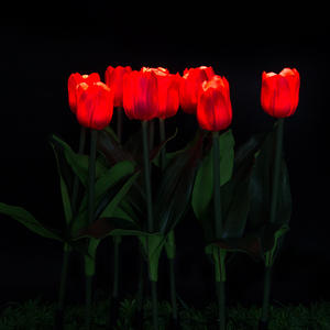 Zonne-aangedreven roestvrijstalen & kunststof tulpvormige LED-lamp voor buiten, tuinpad, landschap, met warm wit licht - Product Image 3