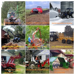 Traktor hinten 3-Punkt-Baggerlader/Farm <span class=keywords><strong>Use</strong></span> Bagger Traktor Bagger lader - Product Image 5