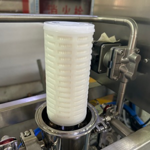 Élément de filtre à air, filtre à gaz pour bioréacteur, fermenteur, éventail de diffusion, oxygénation - Product Image 6