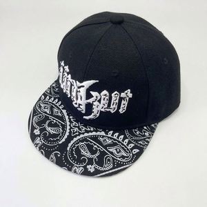 Gorra de Béisbol Deportiva Personalizada para Hombre, de Algodón Liso, con Cierre a Presión, Estilo Trucker - Product Image 1