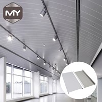 Paneles de Techo Decorativos Modernos de Aluminio, Sistema de Bafles Suspendidos, Revestimiento Metálico Lineal, Insonorizado, Ignífugo, para Gimnasios Exteriores