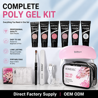 Kit d'extension d'ongles professionnel Poly Gel OEM sous marque privée, ensemble de démarrage complet avec lampe UV LED, capsules et outils pour la vente en gros