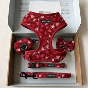 <span class=keywords><strong>2026</strong></span>年バレンタインデー エコフレンドリーデザイン プライベートラベル カスタムプリント 調整可能 ノープル ペット犬用ハーネス リード 首輪セット - Product Image 4