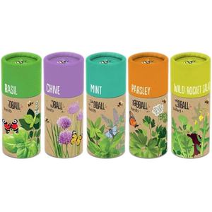 Moderno e minimalista Kit di piante da <span class=keywords><strong>giardino</strong></span> con <span class=keywords><strong>semi</strong></span> di erbe e <span class=keywords><strong>fiori</strong></span> artificiali Design stile per i bambini per il pavimento di casa include vaso di <span class=keywords><strong>fiori</strong></span> - Product Image 4