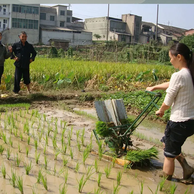 Fábrica al por mayor sembradora de arroz máquina de plantación de arroz sembradora de empuje manual trasplantadora de arroz mini máquina de Trasplante de arroz
