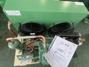 Hot Sell 3HP 5HP 10HP 20HP 30HP OEM/ODM <strong>Box</strong> Type/Open Type <strong>Condensing</strong> Unit for Cold Room China - Product Image 3