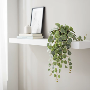 <span class=keywords><strong>Plante</strong></span> artificielle oiseau de paradis, options multi-pots, faux Strelitzia Reginae, résistant à l'eau et aux UV, décoration de sol pour salon et bureau - Product Image 6