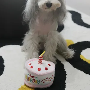 Commercio all'ingrosso decorazioni per la festa di compleanno del cane da compagnia giocattoli cigolanti divertenti peluche cane torta di compleanno giocattolo - Product Image 6