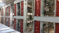Cages à poules pondeuses en batterie durables pour l'élevage automatique de volailles à œufs de type H