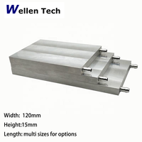 Bloc de refroidissement liquide en aluminium Wellentech 80*160*12mm, dissipateur thermique à montage en surface, garantie 12 mois pour CPU et semi-conducteurs