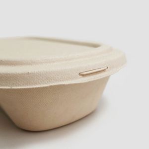 Boîte à lunch rectangulaire jetable en pulpe de bambou, très vendue, pour emporter, conteneur alimentaire biodégradable - Product Image 2