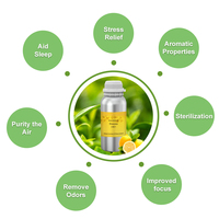 Huile d'aromathérapie sans eau Ivyaroma pour le contrôle des odeurs, huiles essentielles commerciales pour diffuseur intelligent, flacon en aluminium personnalisable