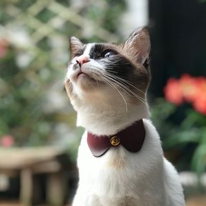 Biểu Tượng Tùy Chỉnh Da Mèo Cổ Áo Trang Trí Kitty Bow Tie Du Lịch Mèo Vòng Cổ Món Quà Vật Nuôi - Product Image 1