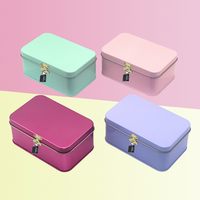 Mini sac à main personnalisé, boîte en fer blanc style valise pour enfants, rangement de cils et autres articles ou utilisation comme autocollants, boîte en fer blanc