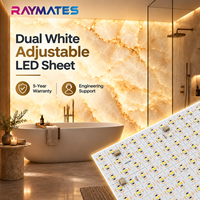 Feuille LED CCT 24V RAYMATES, 484 LED, ultra-fine, flexible, température de couleur réglable, feuille lumineuse LED pour rétroéclairage