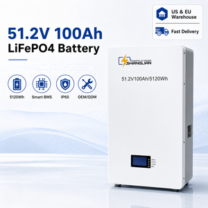 51.2V 100Ah LiFePO4 <b>Battery</b> Pack Wall Mounted Lithium Ion <b>Batteries</b> Pack for Solar Home Energy Storage System - Product Image 1