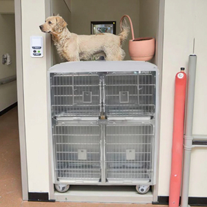 Acier inoxydable de luxe moderne durable pliable résistant à l'eau <span class=keywords><strong>Cage</strong></span> pour animaux de compagnie chien hôpital <span class=keywords><strong>Cage</strong></span> vétérinaire ICU embarquement élevage - Product Image 1