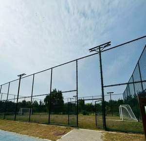 50X50 60X60mm galvanisé à chaud/enduit de PVC Football volley-ball basket-ball Sport jeu ferme champ chaîne lien clôture prix - Product Image 4