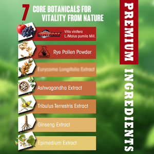 Produits pour l'Amélioration Masculine Comprimés d'Ashwagandha Marque Blanche Stimulant d'Énergie Vitalité Masculine Complément Alimentaire pour la Santé des Hommes - Product Image 4