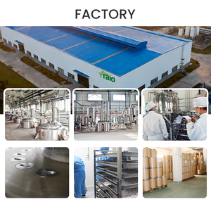 Cápsulas de Creatina Monohidrato - Ayuda para Energía y Recuperación, Antes/Después del Ejercicio, 90 Cápsulas - Product Image 4