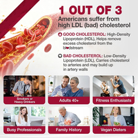 Complément de qualité supérieure à base de CoQ10 et de levure de riz rouge pour soutenir la fonction cardiovasculaire, les lipides sanguins, le vieillissement sain et la santé cardiaque