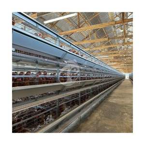 Attrezzatura automatica per gabbia di pollo H gabbia a 4 livelli per allevamento di polli 40,000 - Product Image 5