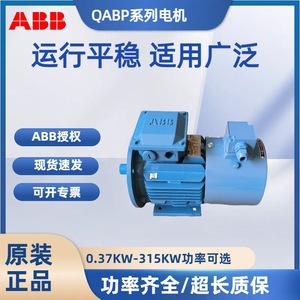 มอเตอร์ ABB QABP IE2 แบบอะซิงโครนัส 4 โพล 3 เฟส 380V 50Hz คลาส F IC416 มอเตอร์ไฟฟ้ากระแสสลับ - Product Image 4