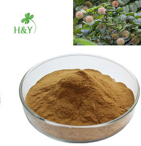 ผงสารสกัดอุนคาร์เรีย โทเมนโทซ่า คุณภาพดีที่สุด อัตราส่วน 10:1 - Product Image 3