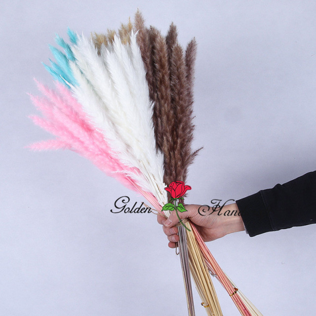 small pampas 30pcs set length 45cm
