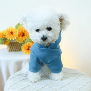 เสื้อผ้าสุนัขออกแบบใหม่เสื้อผ้าสัตว์เลี้ยงตัวอักษรของปารีสสุนัขแมว Hoodies ขายส่ง - Product Image 5