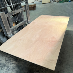 Harga pabrik popler Okoume komersil popler kayu lapis 1250*2500*18mm E0 kayu lapis popler untuk furnitur - Product Image 5