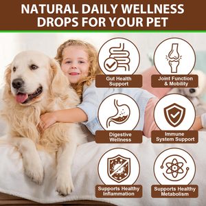 Complément nutritionnel biologique pour animaux de compagnie Oimmal, extrait liquide de champignon Turkey Tail pour chien avec probiotiques, immunité, digestion - Product Image 5