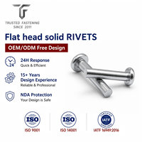Rivets plats personnalisés TianFang pour pièces d'instruments de précision, titane poli, conception OEM ODM et approvisionnement en gros