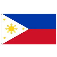 Drapeau des Philippines personnalisable 3x5 pieds, simple face, imprimé sur mesure pour tous les drapeaux nationaux et les drapeaux de présentation