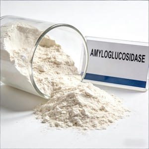 Additif alimentaire Richtek, pureté 99 %, enzyme Amyloglucosidase, Glucoamylase, pour <span class=keywords><strong>utilisation</strong></span> dans les aliments, la bière, etc. - Product Image 4