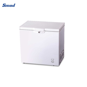 Congélateur coffre professionnel DSC-210C pour stockage de glace en gros - Product Image 3