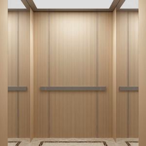 Elevadores Pequeños de Bajo Precio para Apartamentos/Villas/Hoteles, Elevador de Pasajeros Moderno con Accionamiento por Aire Acondicionado, Sin Engranajes, de Acero Inoxidable - Product Image 2