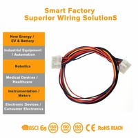 PH2.0 5557 perakitan kabel baris ganda, gesper tembaga 5mm untuk peralatan rumah otomotif elektronik mobil