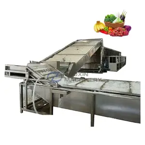 Mesh belt dryer vegetable lettuce lemon dry machine food dehydrator machine tomato dryer supplier