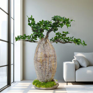 Simulación de Árbol Baobab Africano, Planta Verde Artificial para Jardín Exterior, Paisajismo - Product Image 4