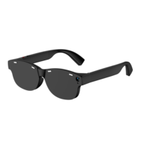 Lunettes Intelligentes IA avec Verres Photochromiques Polarisés, Traduction IA, Caméra 4K 8MP, Appels Vidéo 1080P, Assistant Vocal ChatGPT, IP65