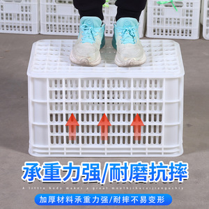 Caisses en plastique Dongyan Plastics 530x370x300mm, paniers de manutention haute résistance pour la logistique, l'entreposage, le stockage de légumes et de fruits - Product Image 3