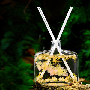 Difusor de Aromas de Lujo Aikun, Personalizable con Etiqueta Privada, Sin Fuego, Ecológico, DIY, Fragancia Fresca y Duradera, Libre de BPA - Product Image 1