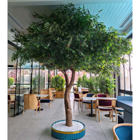 Olivier artificiel presque naturel plantes vertes truquées Coffee shop arbre décoratif du sol au plafond
