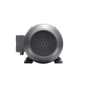 Motore Elettrico <span class=keywords><strong>AC</strong></span> Trifase 11KW 15KW <span class=keywords><strong>18.5KW</strong></span> 22KW 30KW 37KW 45KW 55KW 75KW 50Hz 2950RPM, Motori a Induzione Asincroni - Product Image 5