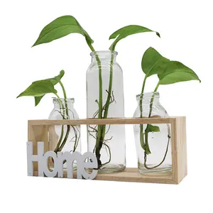 木製フレーム水文化植物透明花瓶シンプルクリエイティブガラス花瓶