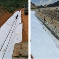 Géotextile non tissé aiguilleté pour la construction routière et la filtration
