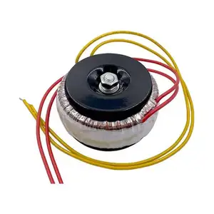 Transformador toroidal 100V 220V 230V 110V 12V 24V 36V 48V 60V 72V Transformador amplificador de audio